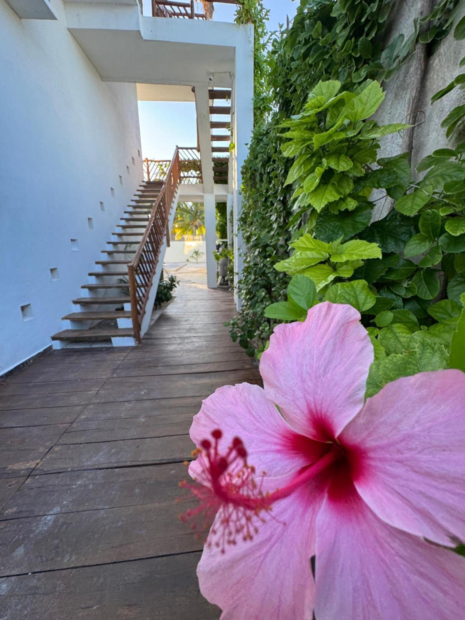 Mexhe Hotel El Cuyo Ngoại thất bức ảnh