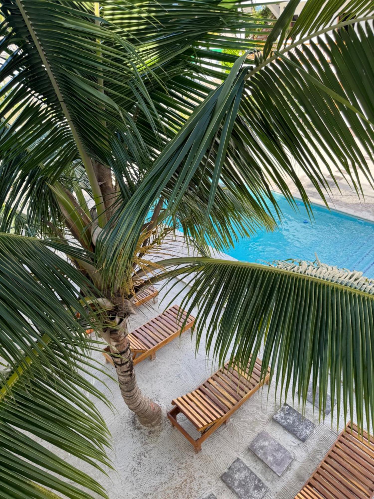 Mexhe Hotel El Cuyo Ngoại thất bức ảnh