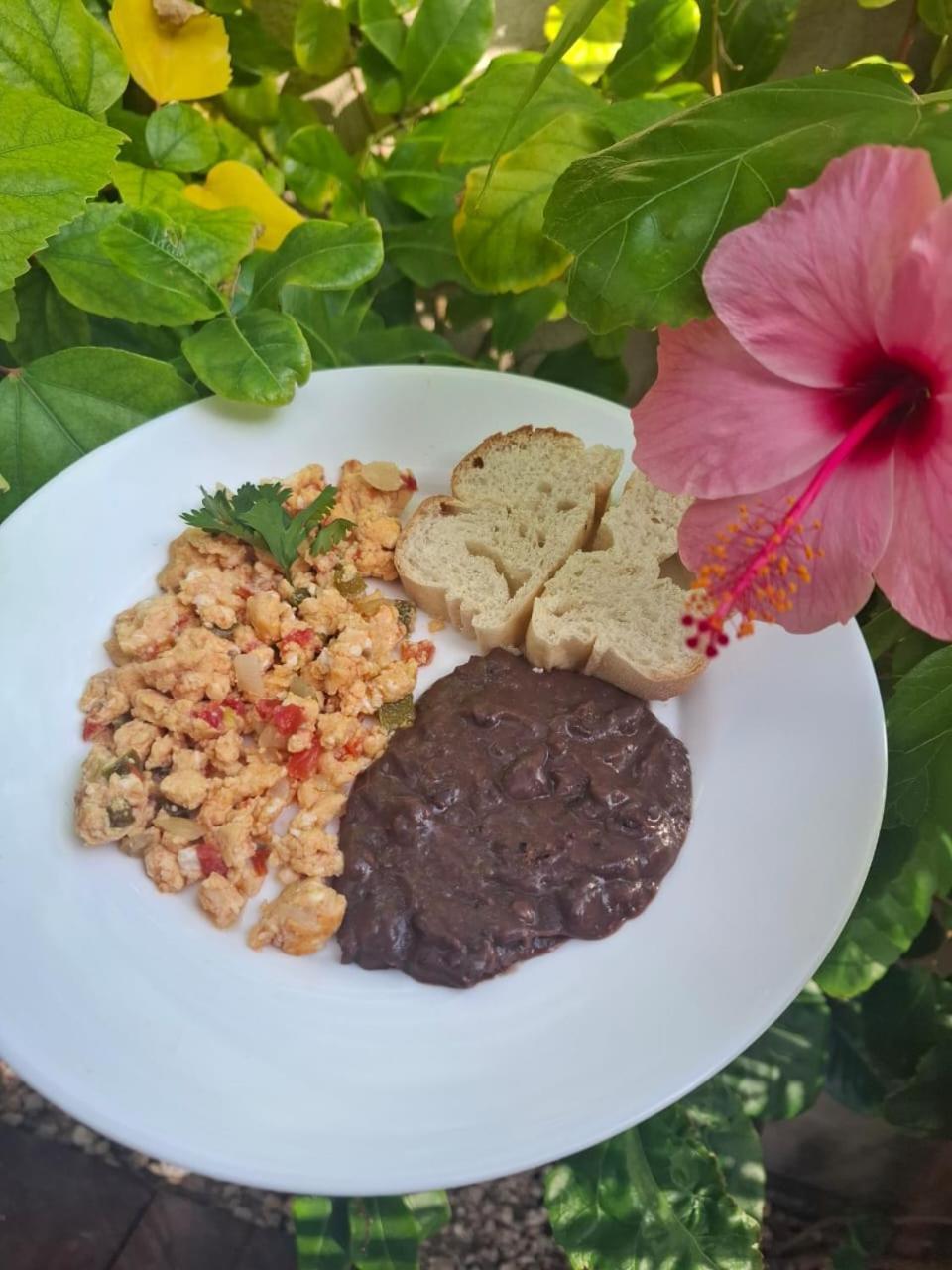 Mexhe Hotel El Cuyo Ngoại thất bức ảnh