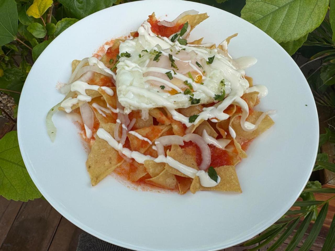 Mexhe Hotel El Cuyo Ngoại thất bức ảnh